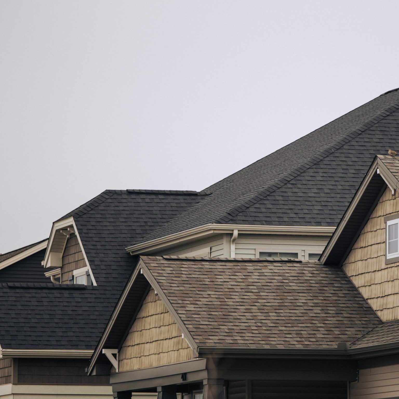 Houses in a suburban neighborhood that had roof replacement and repair.